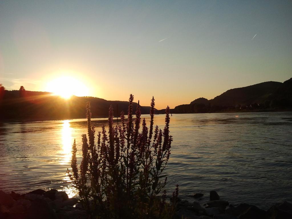 Fe Wo Am Alten Rathaus Andernach Zimmer foto